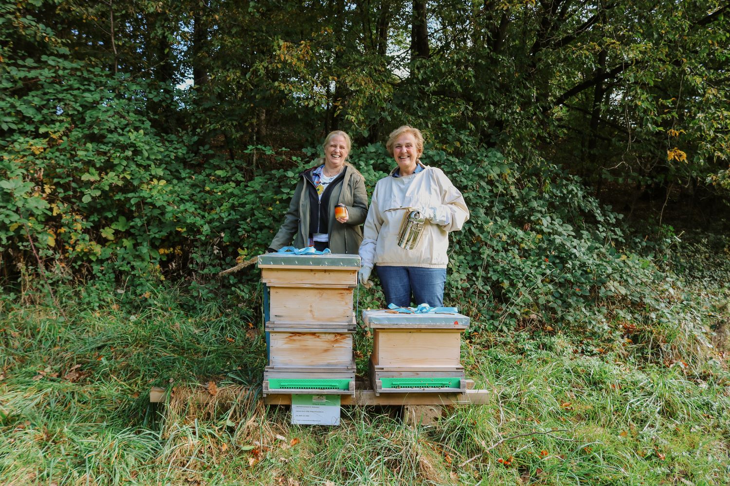Blickinsgruene.at - Waltendorf - Bienenvoelker Lustbuehel_online
