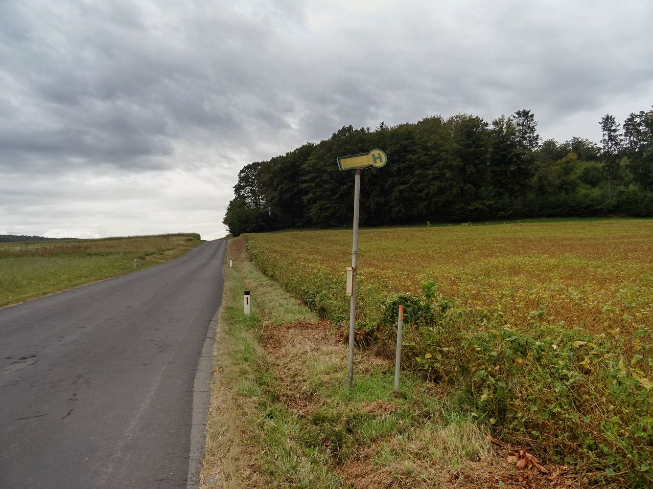 blickinsgruene.at - Steiermark - Fehring - Mikro ÖV