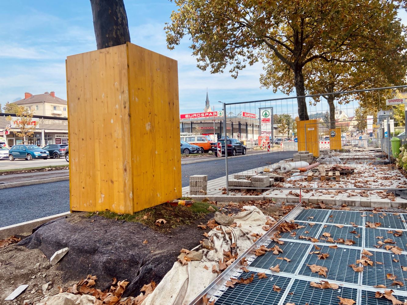 blickinsgruene.at - gleisdorf - platanen