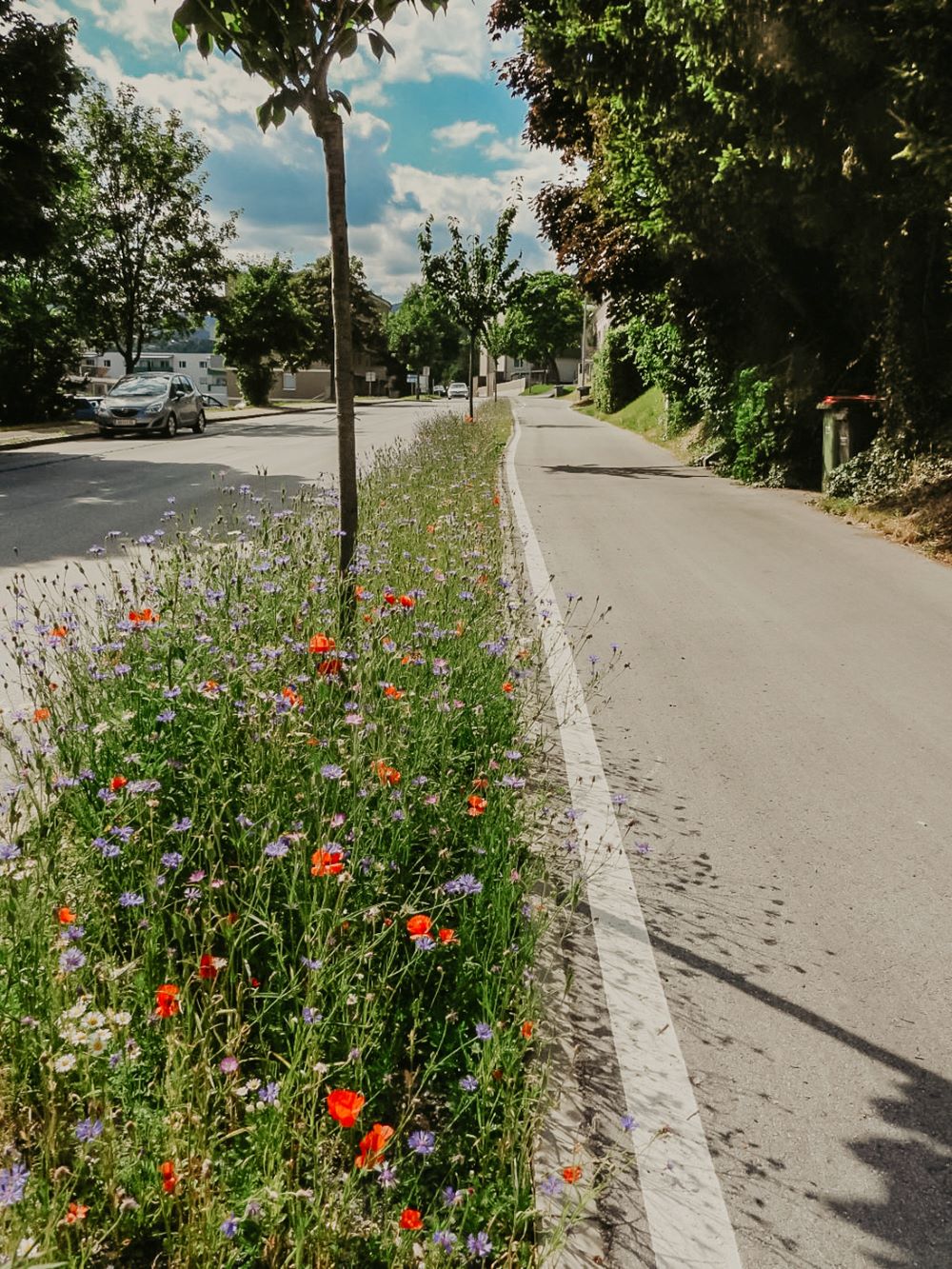 blickinsgruene.at - gratkorn - biodiversität