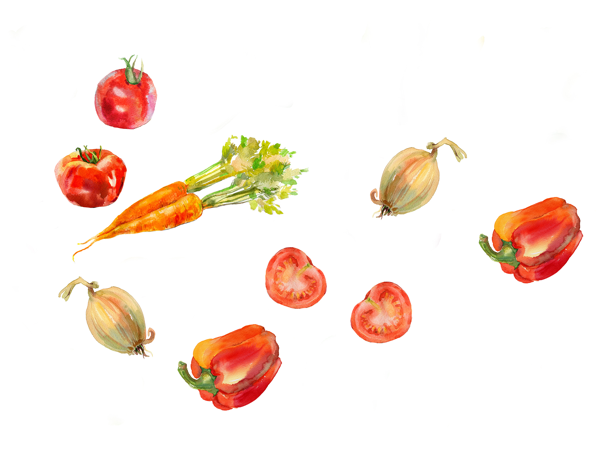 Watercolor painted collection of vegetables. Hand drawn food design elements isolated on white background.Radish, carrot, tomato, cabbage, lettuce, romano salad, pepper, potato, and other veggies