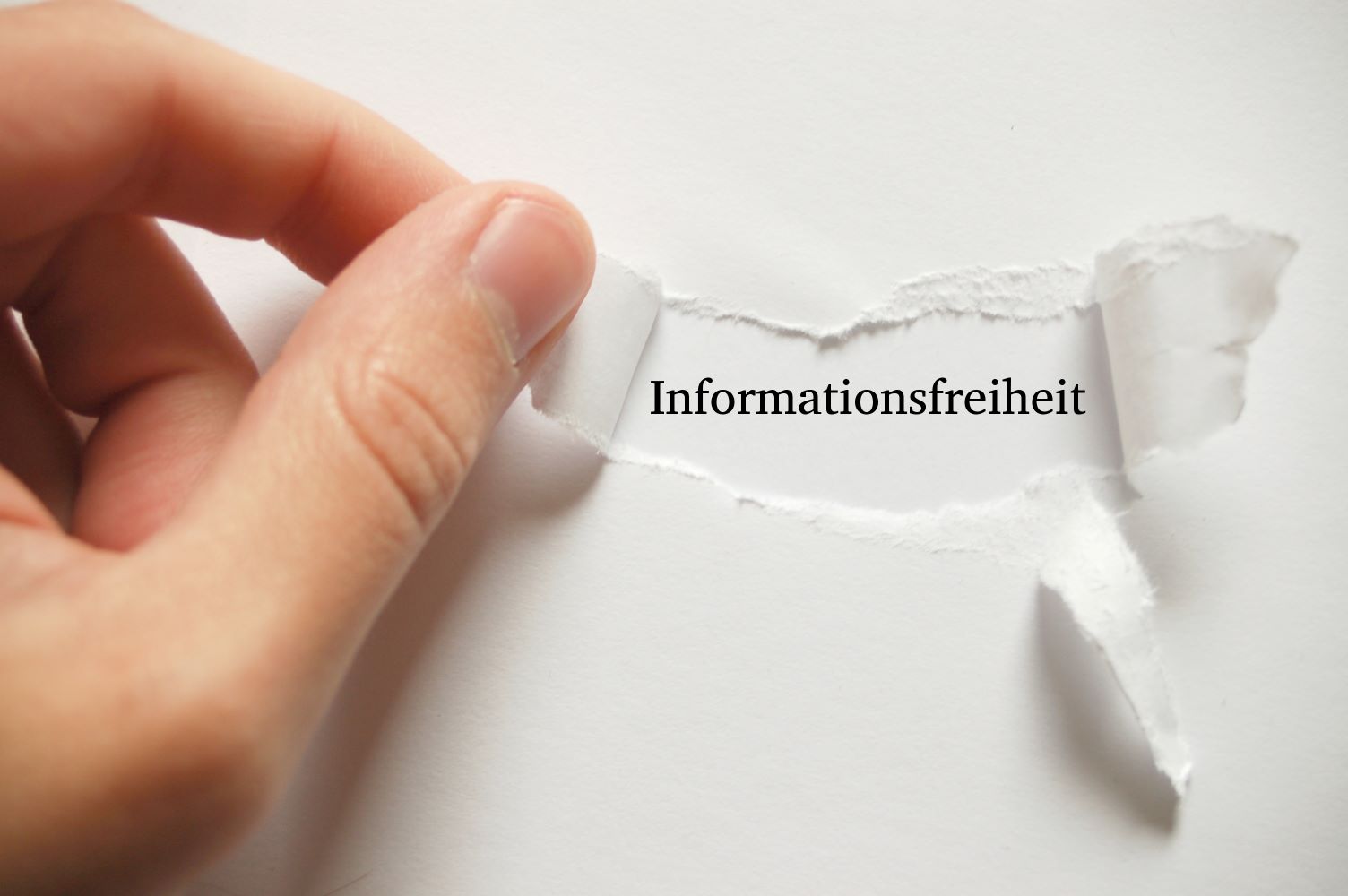 Zu sehen ist: eine Hand, die einen Brief öffnet. Zu lesen ist: Informationsfreiheit