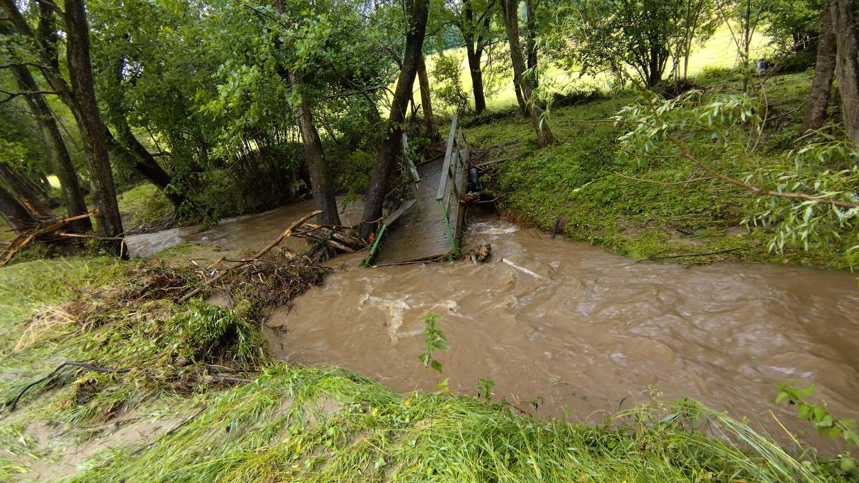 blickinsgruene-sep24-kumberg-gruene-bruecken-bauen
