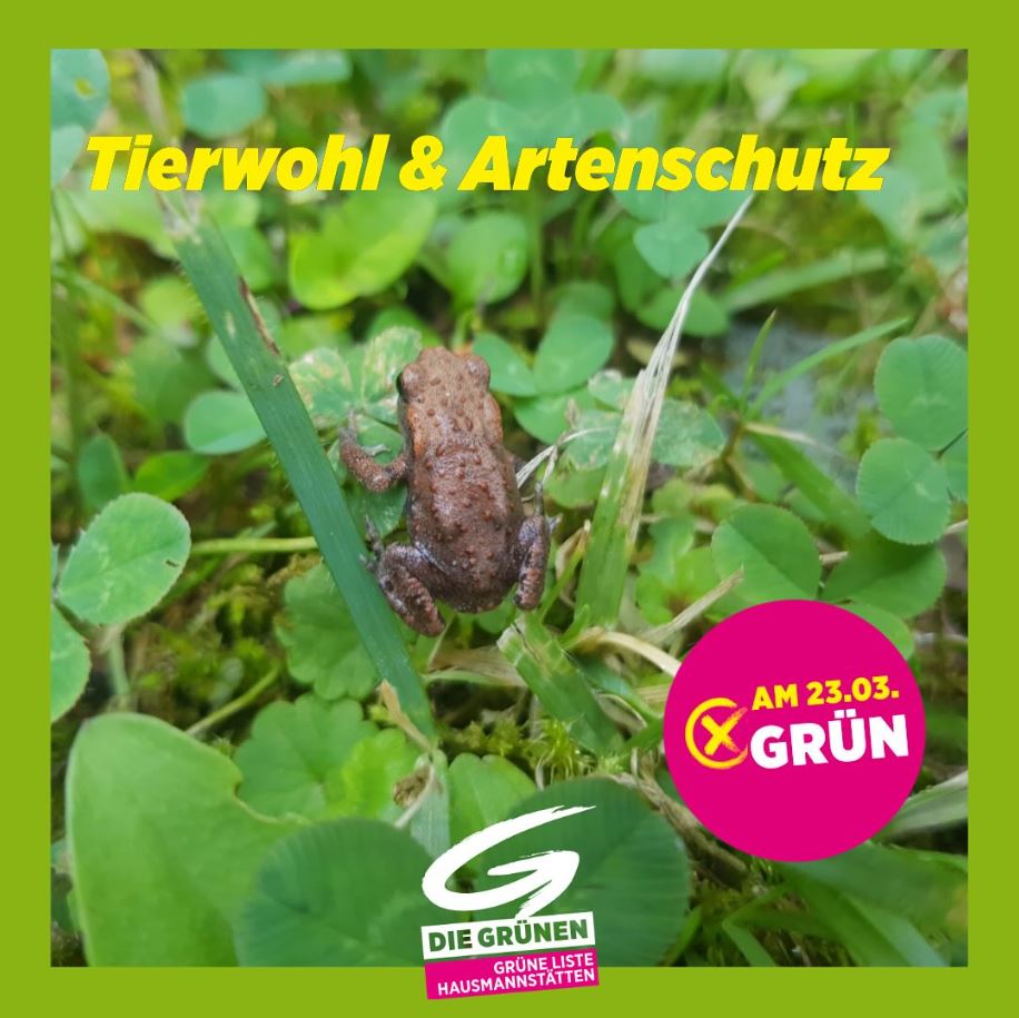 K Tierwohl
