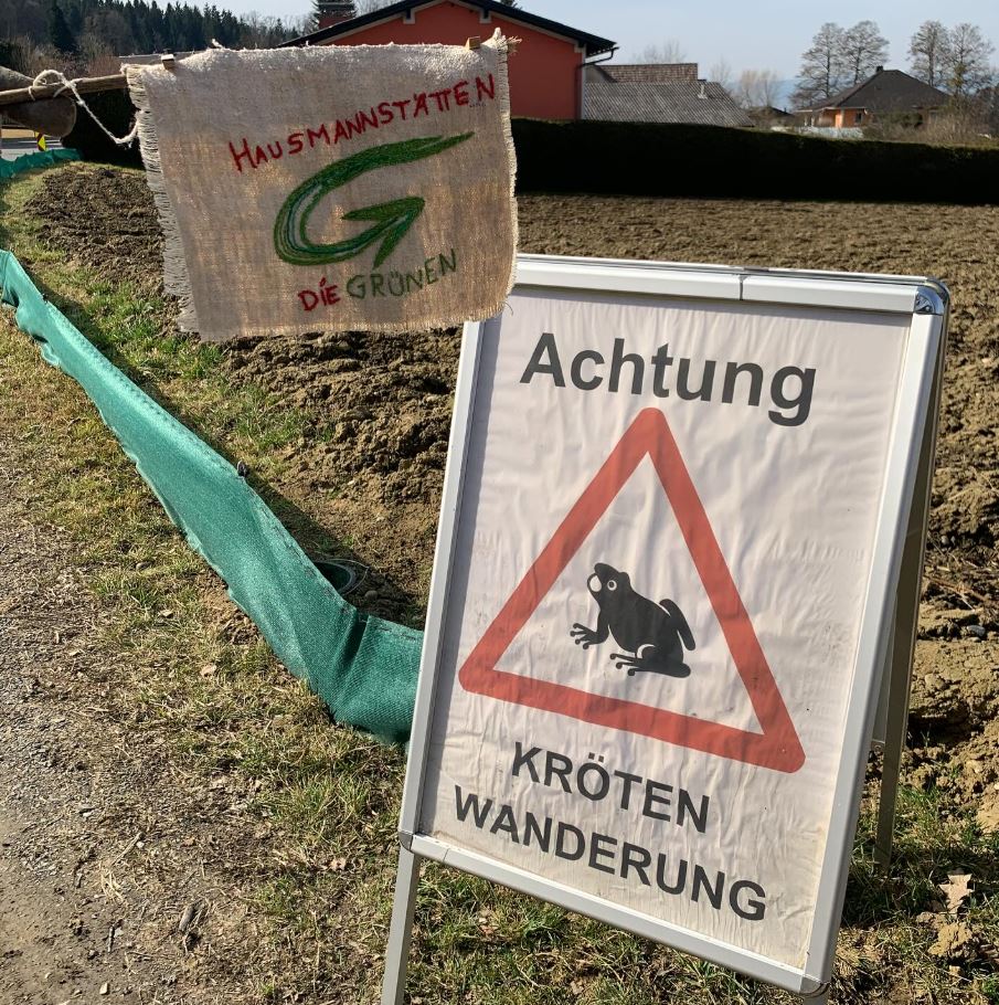 Krötenzaun G