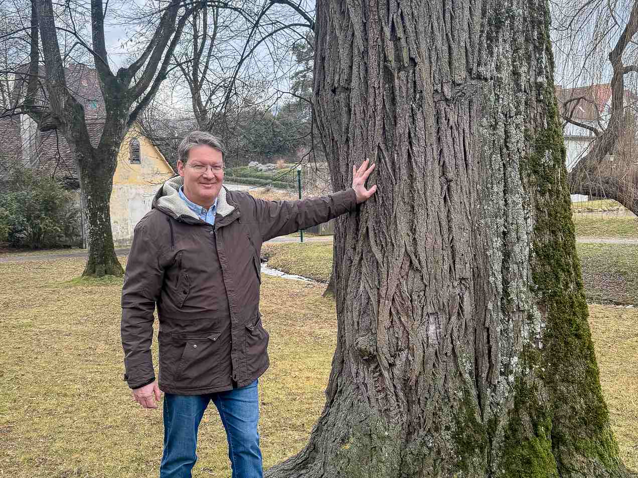 Die Anliegen der Grünen in Pöllau
