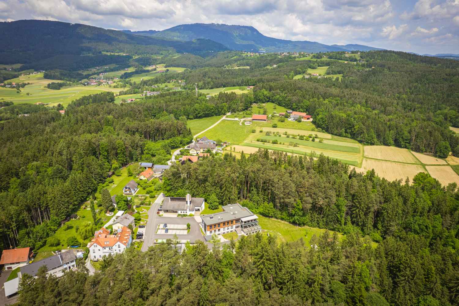 Mehr Grün für Weinitzen