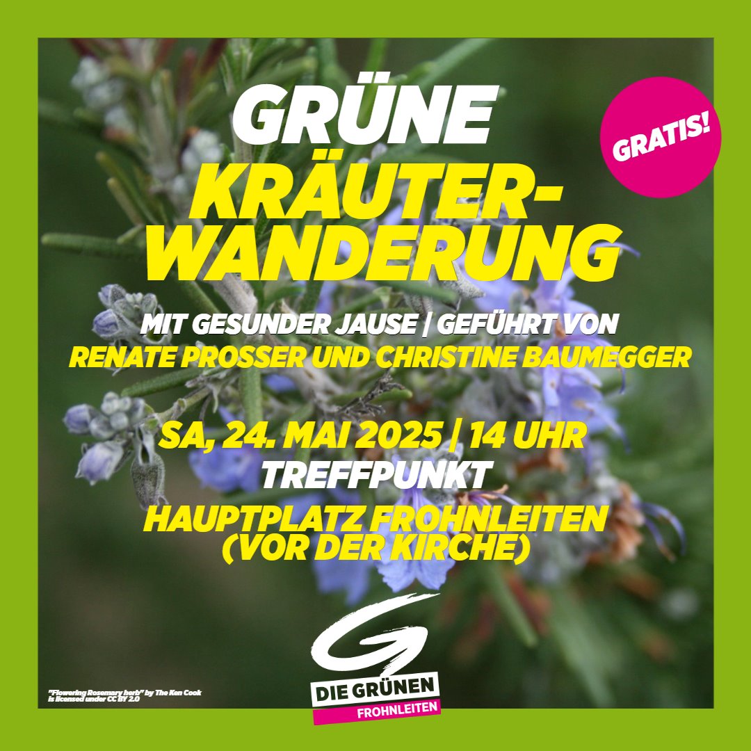 2025-05-24_Kraeuterwanderung_Post_Frohnleiten