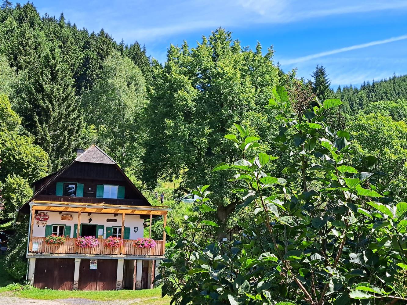 2025-08-10_WanderungGgFrohnleiten-Wieseralm